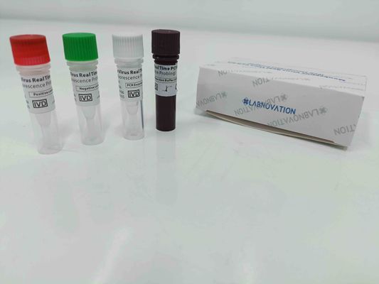 গুণ  Real Time Monkeypox PCR Test Kit With Positive / Negative Control কারখানা